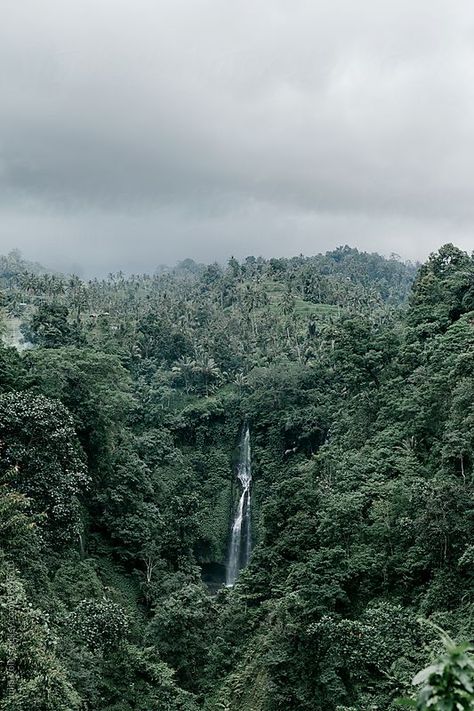 Jungle Pic, Urban Jungle Background, Tropical Airbnb, Jungle View Nature, Jungle Image, Urban Jungle Pic, Urban Jungle Image, Jungle View, Jungle Photo