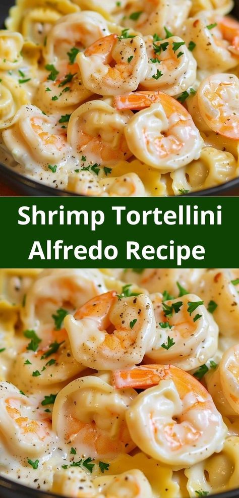 Need dinner recipes for family? Our Shrimp Tortellini Alfredo Recipe is a hit! This shrimp alfredo pasta is ideal for easy dinner ideas and offers a delicious shrimp dinner everyone will love. Shrimp Tortellini Alfredo, Shrimp Tortellini, Alfredo Recipes, Shrimp Alfredo Recipe, Tortellini Alfredo, Creamy Shrimp, Shrimp Alfredo, Tortellini Recipes, Tortellini Pasta