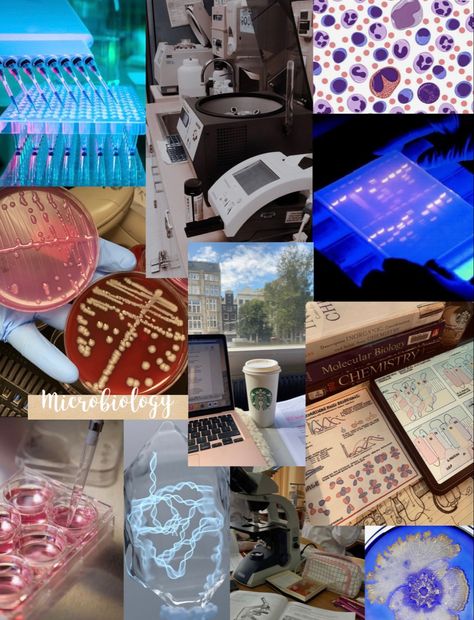 Microbiology, study, science, bacteria Micro Biology Aesthetic, Microbiology Lab Aesthetic, Bioengineering Aesthetic, Microbiology Aesthetic, Micro Biology, Clinical Microbiology, Lab Aesthetic, Medical Microbiology, Microbiology Study