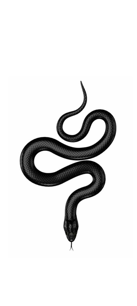 All Black Snake Tattoo, Snack Tattoo Design, Black Snake Tattoo Design, Snack Tattoo, Black Mamba Tattoo, Tattoo Cobra, Black Snake Tattoo, Black Mamba Snake, Cobra Tattoo