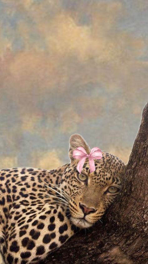 Pink Leopard Wallpaper, Glamour Wallpaper, Leopard Print Background, Cheetah Print Wallpaper, Amur Leopard, Beautiful Wildlife, Beautiful Friendship, Wildlife Pictures, Cute Summer Wallpapers