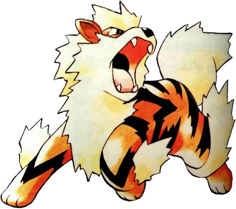 Pokemon Arcanine, Original 151 Pokemon, 151 Pokemon, Old Pokemon, Pokemon Painting, Pokemon Adventures Manga, Pokemon Official, Pokemon Sketch, Pokemon Sprites