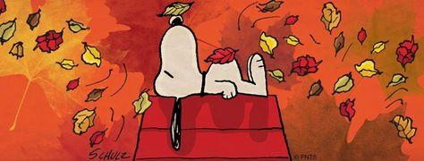 Autumn leaves falling on Snoopy Halloween Twitter Headers, Halloween Timeline, Fall Facebook Cover Photos, Fall Facebook Cover, Wallpaper Snoopy, Twitter Cover Photo, Cover Pics For Facebook, Facebook Cover Images, Fb Cover Photos