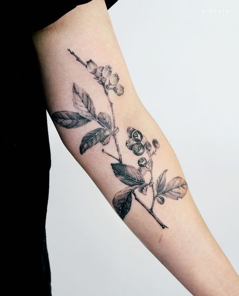 2,936 Likes, 19 Comments - Ola | tattoo artist (@picsola) on Instagram: “A blueberry branch for Pamela, thank you! #blueberrytattoo #botanicaltattoo #botanicalart” Blackberry Collar Bone Tattoo, Bird And Berries Tattoo, Blueberry Branch Tattoo, Blueberry Bush Tattoo, Saskatoon Berry Branch Tattoo, Collage Tattoo, Branch Tattoo, Arm Tats, Botanical Tattoo