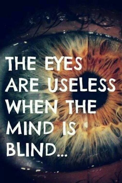 Dont be blinded by stupidity. True Words, Fina Ord, Quotable Quotes, Rumi, An Eye, The Mind, The Words, Great Quotes, Thought Provoking