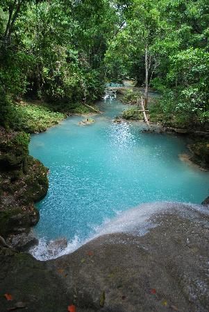 What To Do In Jamaica Montego Bay | Barrett Adventures - Montego Bay - Reviews of Barrett Adventures ... Carolyn Barrett has taken our family on the best excursions in Jamaica. This one was by boys favorite spot. Jamaica Montego Bay, Jamaican Vacation, Tour Group, Montego Bay Jamaica, Jamaica Vacation, Honey Moon, Blue Hole, Jamaica Travel, Water Falls