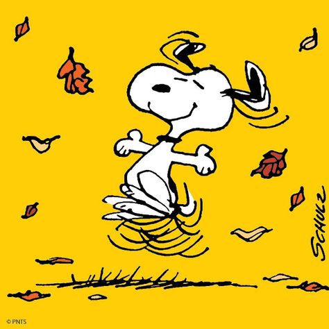 Fall mood! Snoopy Fall, Cartoon Character, Snoopy