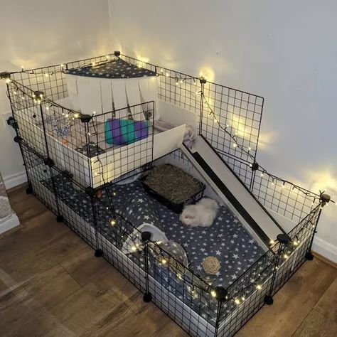 Ginny Pigs Cages, C C Guinea Pig Cage, Guinea Pig Set Up Ideas, Guinea Pig C&c Cage Ideas, Guinea Pig Aesthetic Cage, Guinea Pig Room Ideas, Guinea Pig Enclosure Ideas, Guniea Pig Aesthetic Cage, Guinea Pig Cage Ideas Aesthetic