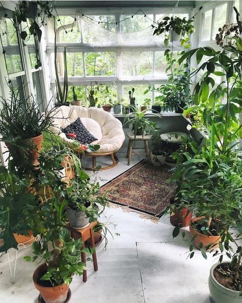 Cushioned chair surrounded by an indoor garden نباتات منزلية, Plant Decor Indoor, Room With Plants, Design Del Prodotto, Green Rooms, Natural Home Decor, Restaurant Interior, Cafe Design, Decor Rustic