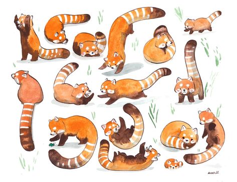 Paintings Unique, Panda Illustration, Panda Drawing, Animals Adorable, Panda Art, Red Pandas, Ceramic Animals, Illustration Ideas, Animals Art