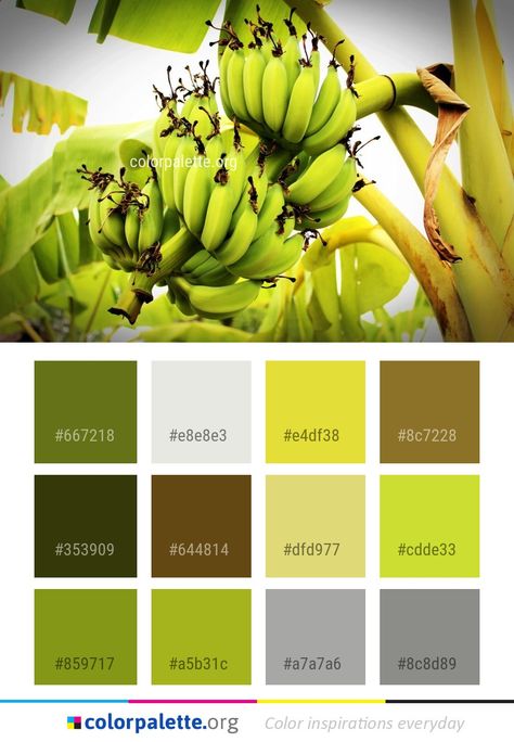 Family Color Palette, Yellow Family, Graphics Design Inspiration, Yellow Color Palette, Colors Inspiration, Banana Yellow, Color Palette Yellow, Family Coloring, Color Swatch