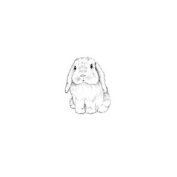 Bunny And Dog Tattoo, Holland Lop Bunny Drawing, Floppy Eared Bunny Tattoo, Mini Bunny Drawing, Soft Bunny Tattoo, Holland Lop Bunny Tattoo, Lop Rabbit Tattoo, Holland Lop Drawing, Lop Bunny Drawing