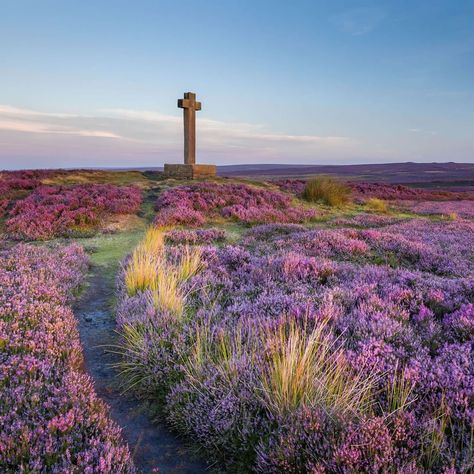 North York Moors National Park, North York Moors, Visiting England, Cornwall England, South Yorkshire, Yorkshire Dales, Yorkshire England, England Travel, North Yorkshire