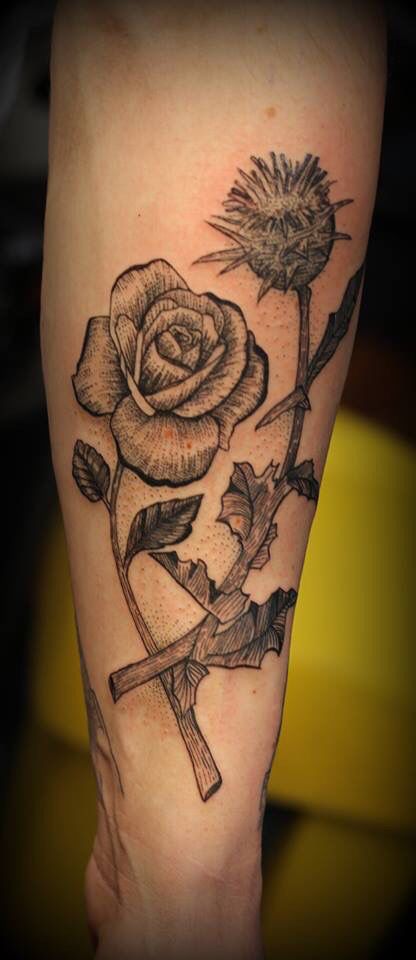 Rose and thistle English Rose And Scottish Thistle Tattoo, Thistle Rose Tattoo, Scottish Thistle Tattoo, Scottish Tattoo, Scottish Tattoos, Thistle Tattoo, Tui Bird, Celtic Knot Tattoo, Rose Tattoos For Men