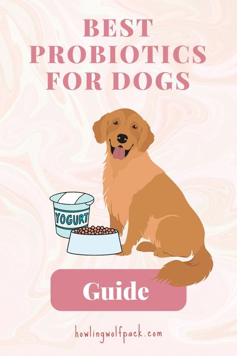 Natural Supplements For Dogs, Probiotic Food For Dogs, Diy Dog Probiotic, Probiotic For Dogs Diy, Gut Health For Dogs, Dog Probiotics Natural, Probiotic Dog Treat Recipe, Diy Probiotics For Dogs, Homemade Probiotics For Dogs