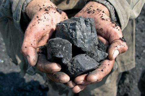 A miner holding coal nuggets in his cupped hands. Burning Coal, Black Lungs, Mens Wedding Rings Unique, Future Energy, Science Games, Coal Miners, Dividend Stocks, Energy Crisis, Titanium Wedding Rings