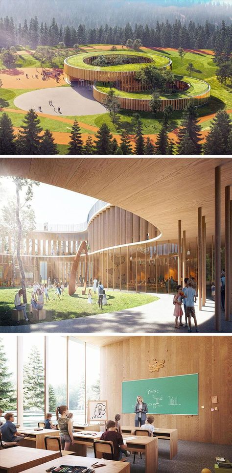 Unique School Buildings, Best School Design Architecture, Outdoor School Spaces Architecture, Innovative School Design Architecture, Building Around Trees Architecture, Organic School Architecture, Architecture With Trees, Elementary School Architecture Concept, Outdoor Library Architecture