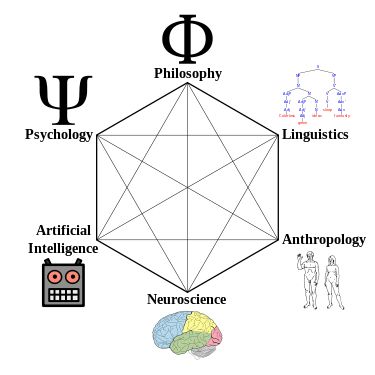 Does not assume that people are rational. Continental philosophy directs itself inward, to trying to understand how people work and why Continental Philosophy, Cognitive Psychology, Cognitive Science, Science Worksheets, Human Mind, Sociology, Neuroscience, Anthropology, Emotional Intelligence