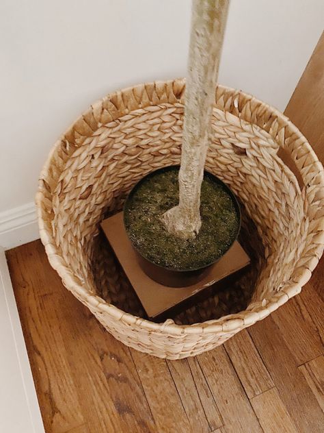 Baskets For Faux Trees, Faux Tree Basket, Faux Olive Tree In Basket, How To Make A Faux Tree Look Real, Faux Olive Trees In Pots, Boho Planters Indoor, Faux Tree Basket Filler, Faux Olive Tree Indoor Diy, Faux Planter Fillers