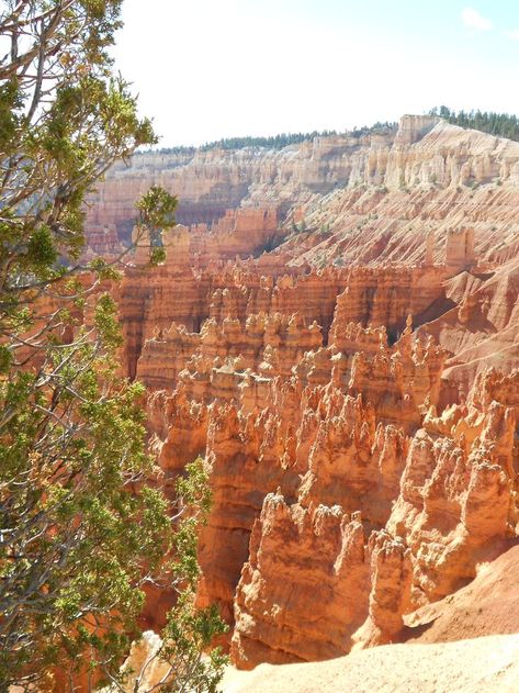 Utah, Brice Canyon Grand Canyon, Utah, Natural Landmarks, Travel, Nature