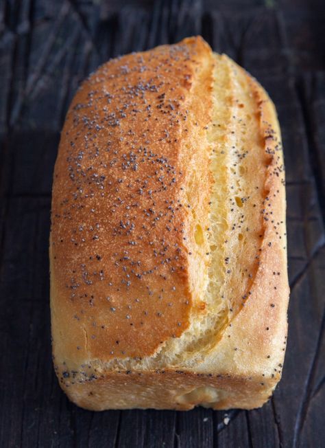 Semolina Bread Recipe, Sandwhich Bread, Semolina Bread, Seeded Bread Recipes, Semolina Flour, Different Types Of Bread, Tasty Bread Recipe, Active Dry Yeast, Sandwich Fillings