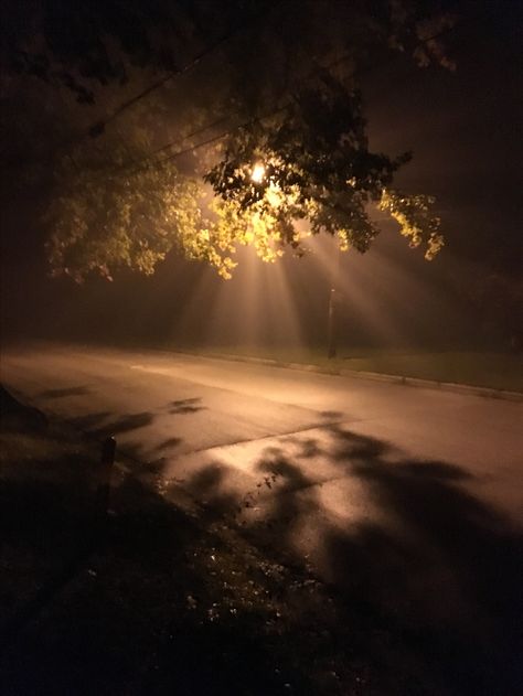 Nature, Street Lamp Post Night Fog, Foggy Aesthetic Night, Street Lamp In The Fog At Night, Light Street Night, Street Light In Fog, Street Light In Fog Wallpaper 4k, Streetlamps In The Fog, Street Lamp In The Fog Wallpaper Iphone