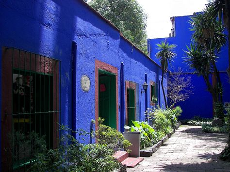 Frida Kahlo's house/museum Mexican Garden, Kahlo Paintings, Frida And Diego, Patio Grande, Areas Verdes, Diego Rivera, Mexican Artists, Montage Photo, House Museum