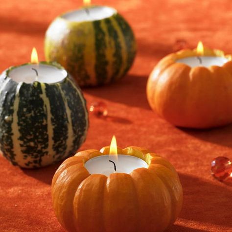 Use small pumpkins or apples to make candle holders. Remove the center of the apple or pumpkin then insert the candles. Diy Pumpkin Candle, Easy Diy Thanksgiving Decorations, Thanksgiving Decorations Diy Table, Easy Diy Thanksgiving, Pumpkin Candle Holder, Pumpkin Tea, Thanksgiving Decorations Diy, Fall Wedding Centerpieces, Diy Thanksgiving