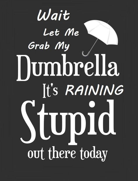 Wait Let Me Grab My Dumbrella Raining Stupid Out Today Funny Sarcastic Quote Sign 8x12" New Made In America To Order Exquisite Custom Decor Premium aluminum sign approximately 8.5 inches x 12 inches. Each sign comes with pre-drilled holes and radius corners for easy installation. Crafted with precision using a high-quality UV printer and fade-resistant ink, these signs are built to last for years. They are environmentally friendly, recyclable, waterproof, durable, colorfast, and easy to clean, e Funny Quotes Signs, Thuggin It Out Quotes, Tweaker Humor, Photographic Memory, Unique T Shirt, Art Fantasy, Sarcastic Quotes Funny, Sarcastic Humor, Sarcastic Quotes