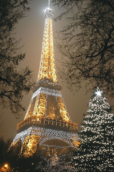 Paris In Winter Night, Xmas In Paris, Christmas In Paris Wallpaper, Paris On Christmas, Christmas In Paris Decorations, Paris During Christmas, Christmas Paris Aesthetic, Paris Christmas Wallpaper, Christmas Wallpaper Paris