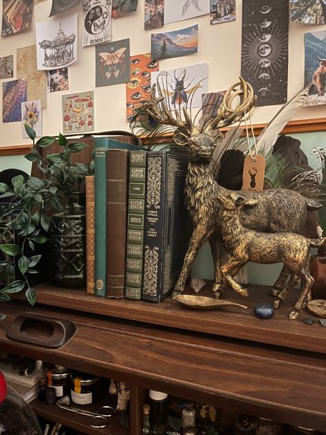 Boho Academia Bedroom, Goblincore Bookshelf, Bedroom Decor Dark Academia, Green Bookshelf Aesthetic, Lotr Inspired Bedroom, Gremlincore Bedroom, Cryptidcore Bedroom, Bookshelf Academia, Bookworm Room Aesthetic