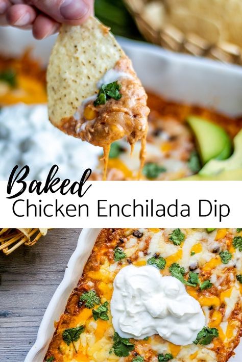 Chicken Enchilada Dip Recipe, Enchilada Dip Recipe, Cheese Beans, The Best Baked Chicken, Avocado Sour Cream, Enchilada Dip, Best Baked Chicken, Chicken Enchilada Dip, Tailgating Food