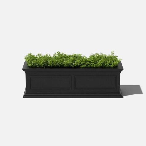 Sol 72 Outdoor™ Zaiden 36" Window Box Planter - Black & Reviews | Wayfair.ca Flowers For Planter Boxes, Tall Planter Boxes, Raised Garden Planters, Watering Pot, Garden Estate, Black Planters, Window Planters, Self Watering Pots, Rectangular Planters