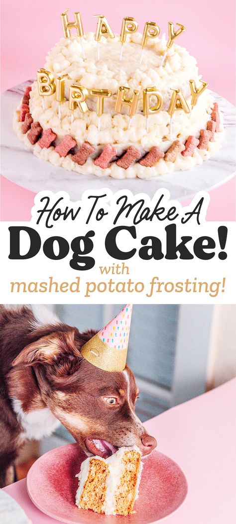 Dog Frosting Recipe, Spoiled Dog Cake, Dog Treat Icing Recipe, Dog Friendly Cake, Dog Cake Recipes, Mashed Potato Cakes, Potato Dog, Healthy Dog Treats Homemade, Puppy Cake