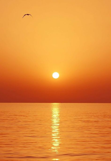 Evening Sun Set Images, Sunset Png, Pictures Of The Sun, Good Evening Messages, Fairy Images, Png Art, Moon Images, Sea Colour, Ocean Wallpaper