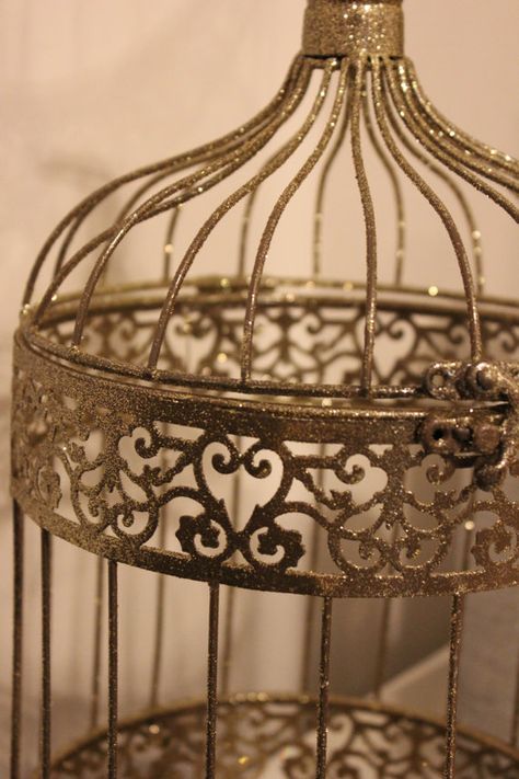 Cage Aesthetic, Bird Cage Vintage, Big Bird Cage, Birdcage Tattoo, Royalty Core, Bird Cage Centerpiece, Cage Tattoos, Concrete Bird Bath, Tattoo Bird