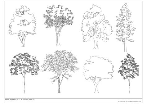 Our free CAD Block database is a new feature to First In Architecture. We hope you find them useful. Please feel free to download Tree Dwg, Architectural Trees, Cad Blocks Free, Landscape Architecture Drawing, Tree Plan, Elevation Drawing, Tree Sketches, Garden Drawing, Landscape Sketch