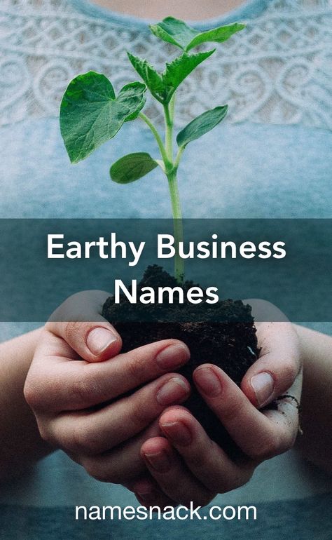 20 unique and catchy earthy business name ideas. Earthy Names For Business, Herbal Business Names, Greenhouse Name Ideas, Earthy Business Names, Apothecary Name Ideas, Earthy Words, Wellness Business Name Ideas, Plant Business Name Ideas, Plant Shop Name Ideas