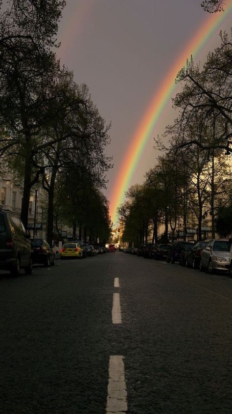 Trees, Cars, The Sky, Rainbow