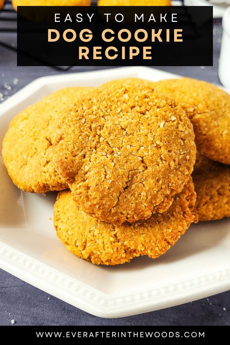 Easy to make dog cookie recipe for a delicious treat for your pup. With pumpkin and peanut butter. Dog Cookies Recipe Pumpkin, Pumpkin And Peanut Butter, Dog Cookie Recipes, Pet Recipes, Homemade Dog Cookies, Dog Cake Recipes, Chocolate Chip Muffin Recipe, Diy Dog Food, Dog Pumpkin