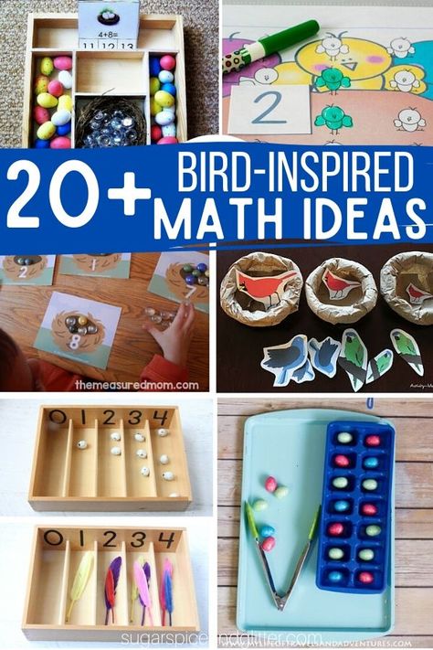 Over 20 Bird-inspired Math Ideas for a Bird Unit Study, plus fun ideas to bring the bird theme into sensory play, practical life, science and art Birds Kindergarten Activities, Bird Crafts Preschool, Montessori Math Activities, Birds For Kids, Preschool Units, Montessori Toddler Activities, Montessori Math, Montessori Ideas, Spring Preschool