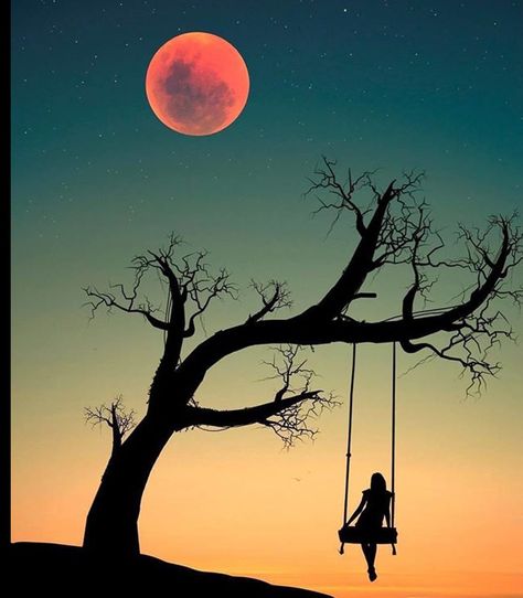 Collage Foto, Silhouette Photography, Silhouette Painting, Silhouette Photos, Image Nature, Moon Photography, Nature Artwork, Beautiful Nature Wallpaper, Painting Wallpaper