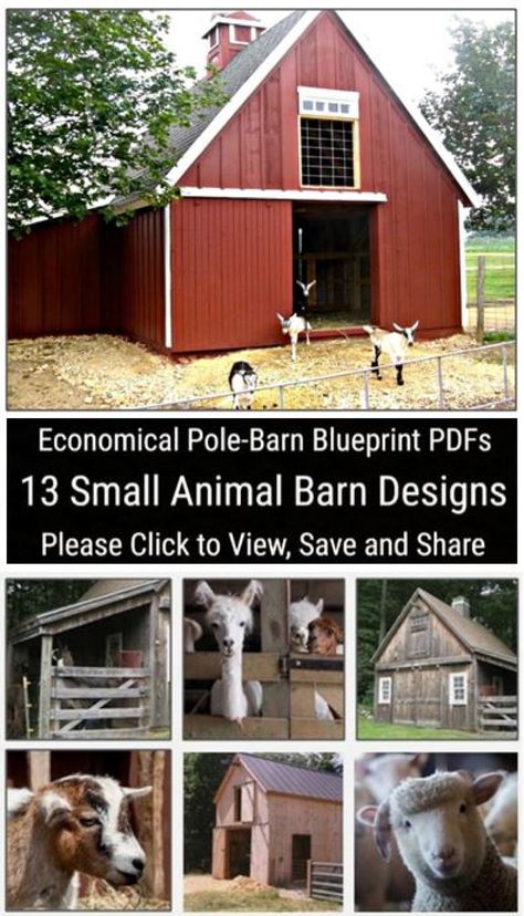 "* Architect-Designed and Engineered in the USA  * You Can Build Any of 13 Different Small Animal Barns * Build Your Barn with Economical Pole-Barn Construction  * The Blueprints Include all Floor Plans, Options, Elevations, Sections, Details and Specifications * Quick, Easy and Inexpensive Digital, Instant Download Plans Create a the perfect little barn for your horses, lamas, ponies, donkeys, goats, sheep vicunas or mix of animals. This plan set starts with blueprints for four small barns that can be customized to fit your needs. Options and add-ons let you create any of thirteen different layouts so you can build just the shelter that your animals need. The barn sizes range from as small as 395 Square Feet to as large as 1,208  Square Feet with optional add-ons. Hay Lofts give you econo Small Animal Barn, Small Barn Plans, Pole Barn Construction, Pole Barn Plans, Livestock Barn, Barn Layout, Pallet Barn, Building A Pole Barn, Small Barns