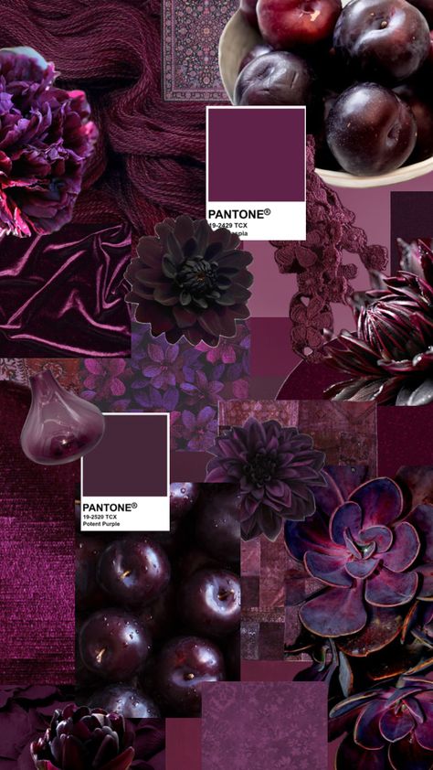 Plum Color Palette, Deep Winter Colors, Color Knowledge, Pantone Colour Palettes, Mulberry Color, Purple Color Palettes, Color Collage, Deep Winter, Color Inspo