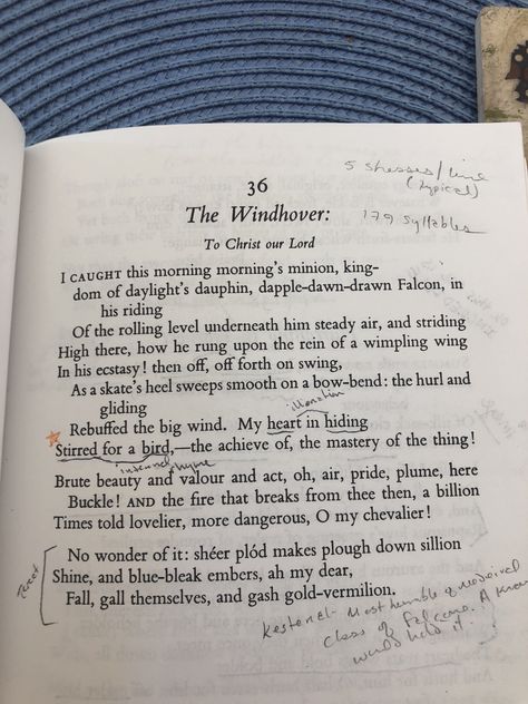 by Gerard Manley Hopkins Becky Hemsley Poetry, Ernest Hemingway Poetry, Gerard Manley Hopkins Poems, Gerard Manley Hopkins, Take Me To The Lakes Where All The Poets, Roger Mcgough Poems, Morning Morning, Lust For Life, Writing A Book