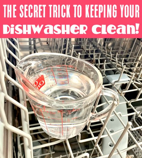 How To Wash Dishwasher, How To Clean The Inside Of A Dishwasher, How To Sanitize Dishwasher, How To Clean A Smelly Dishwasher, Smelly Dishwasher Cleaning, How To Clean Your Dishwasher Diy, How To Clean My Dishwasher, Cleaning Dishwasher Deep, How To Get Smell Out Of Dishwasher