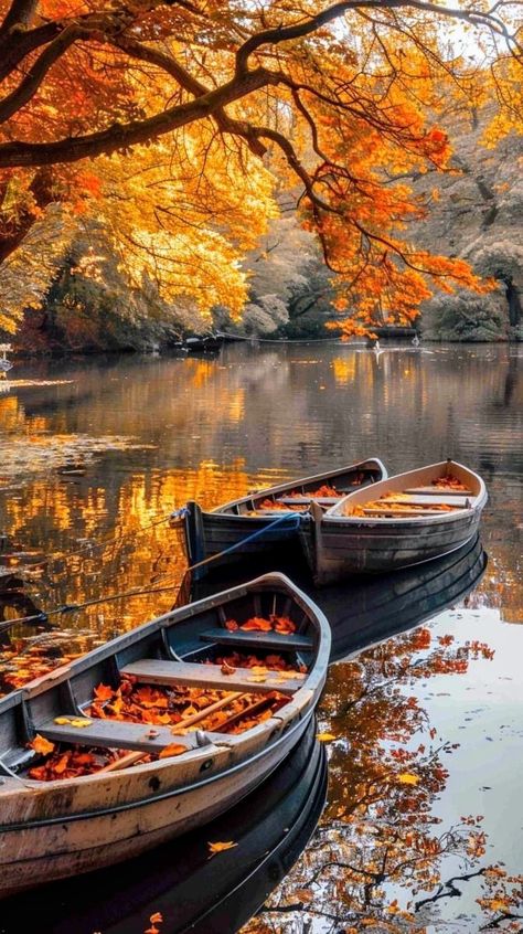 Fall Wallpaper Tumblr, Boats Wallpaper, Reflection Pictures, Row Boats, Autumn Scenes, Autumn Scenery, Beautiful Locations Nature, Autumn Painting, Fall Pictures