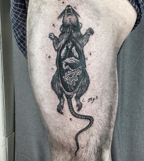 Rotting Tattoo, Two Headed Rat Tattoo, Dissection Tattoo, Decay Tattoo, Rat Dissection, Loop Tattoo, Dark Tattoo Ideas, Rat Tattoo, Berlin Tattoo