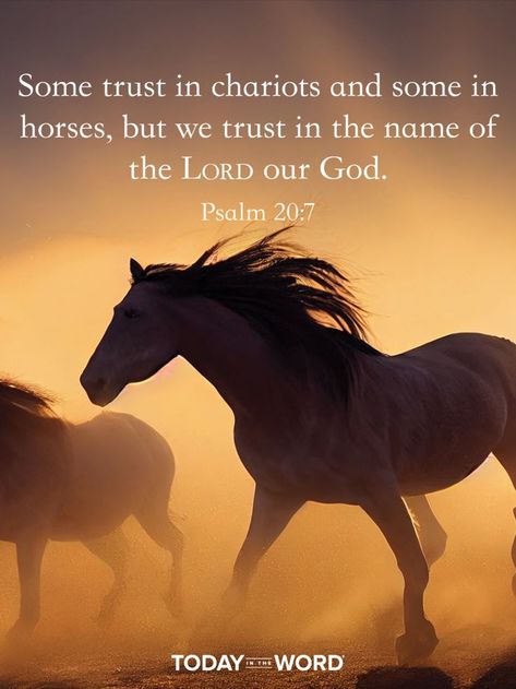 Daily Bible Scriptures, Chosen By God, Psalms Verses, Psalm 20, Inspirational Horse Quotes, Christ Quotes, Golden Ticket, Bible Study Verses, Horse Quotes