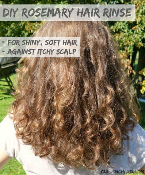 My Top 7 NO POO Herbal Hair Shampoo/Cleanser Recipes Itchy Dry Scalp Remedy, Rosemary Hair Rinse, Shiny Soft Hair, Hair Rinse Diy, No Poo Hair, No Poo Shampoo, Hair Rinse Recipe, Dry Scalp Remedy, Herbal Hair Rinse